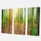 Designart - Dense Forest Panorama - Landscape Canvas Art Print
